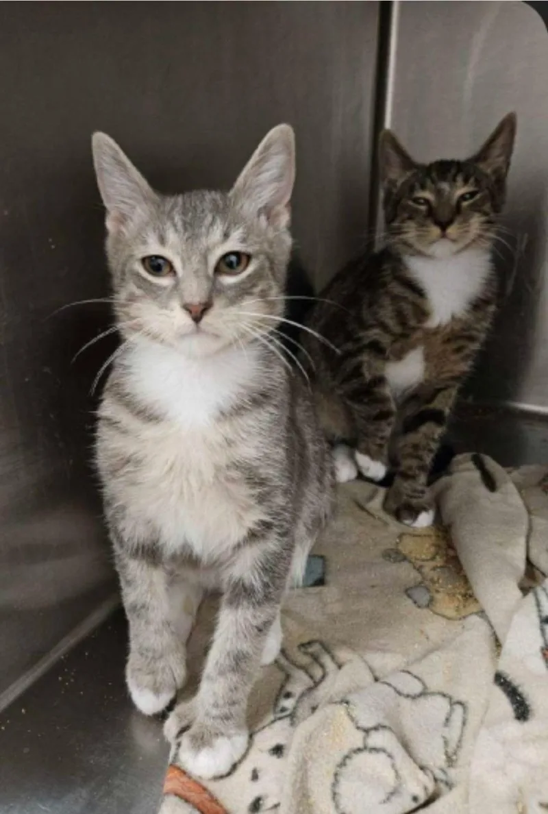 Mo And Hugo thumbnail 2