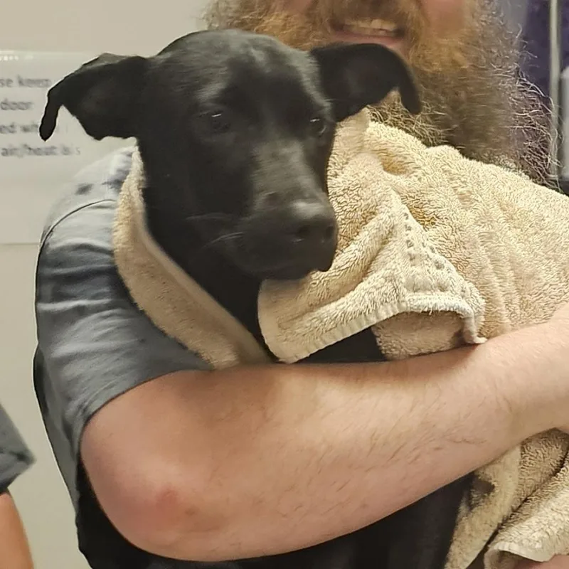 Maverick thumbnail 2