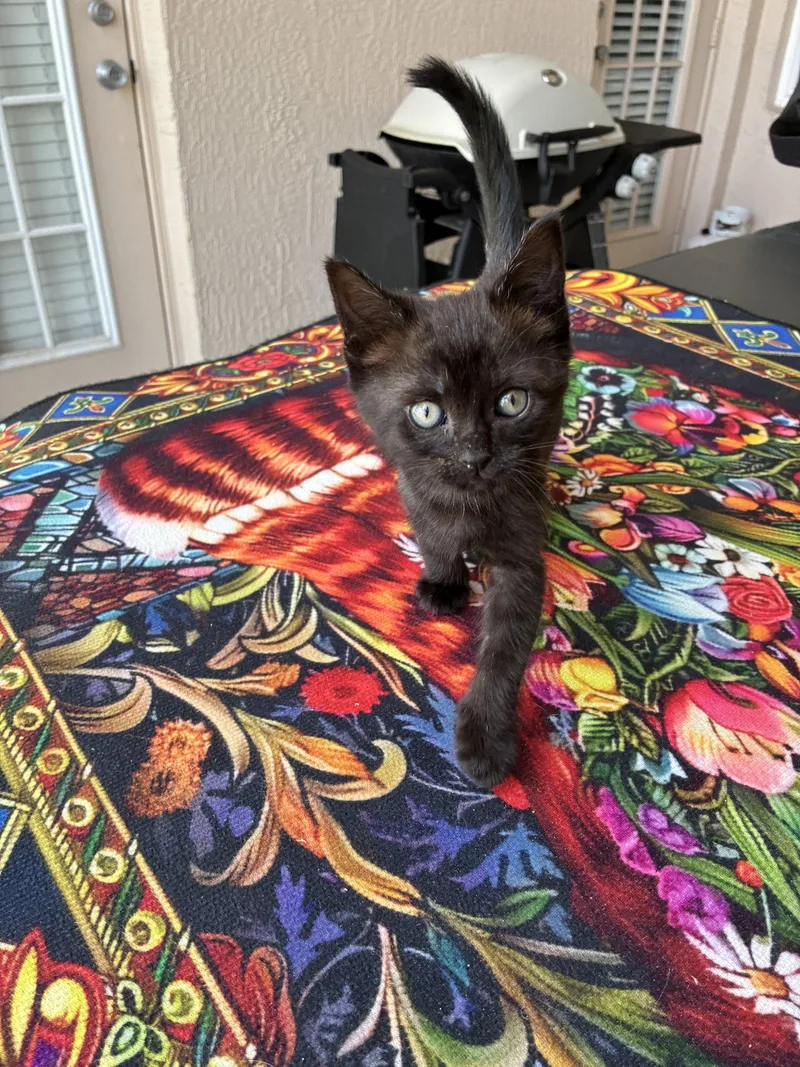 Treasure thumbnail 3