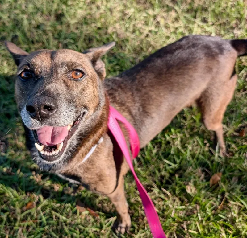 Lady Lbsfee Sponsored!