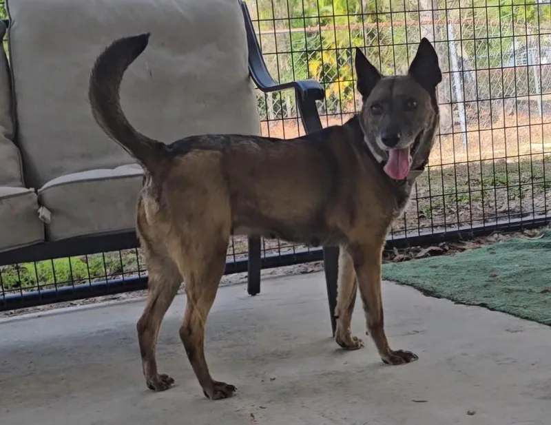 Lady Lbsfee Sponsored! thumbnail 4