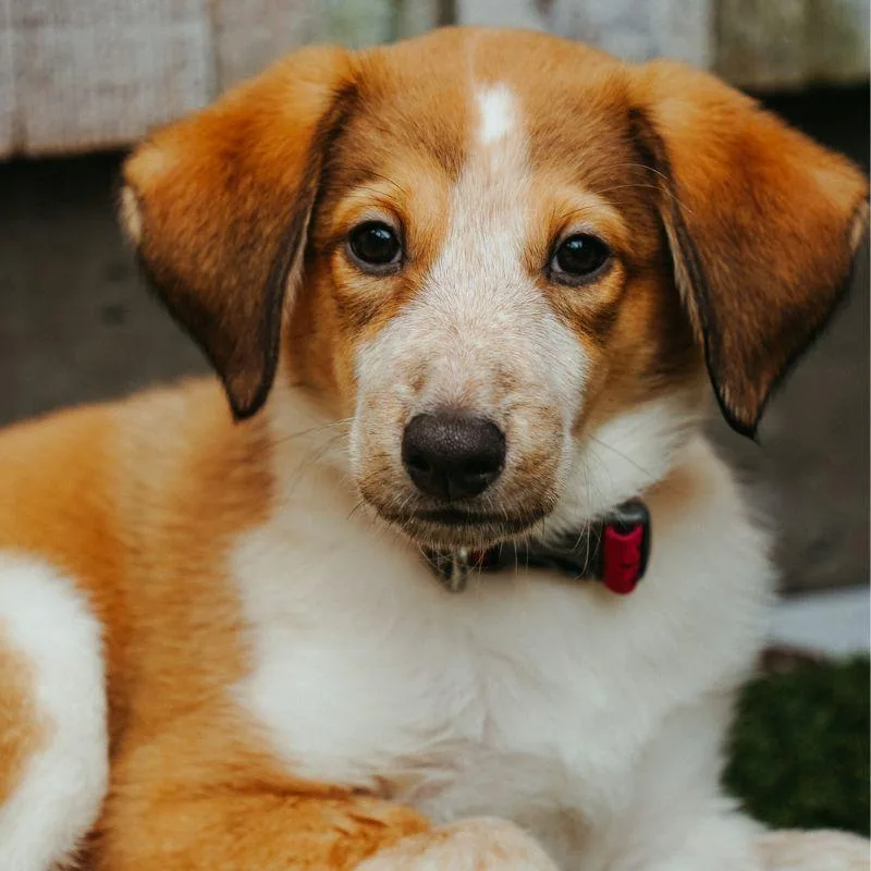 Sandy thumbnail 4