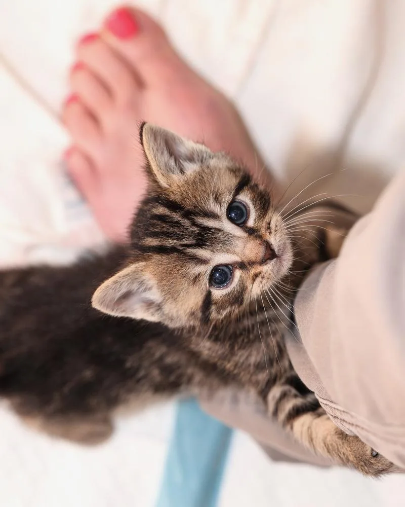 Ernie thumbnail 3