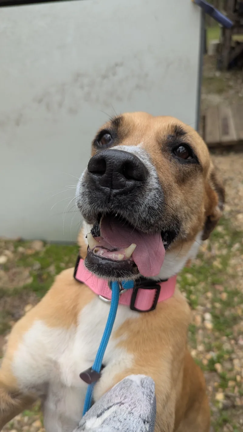 Josie Sue thumbnail 2
