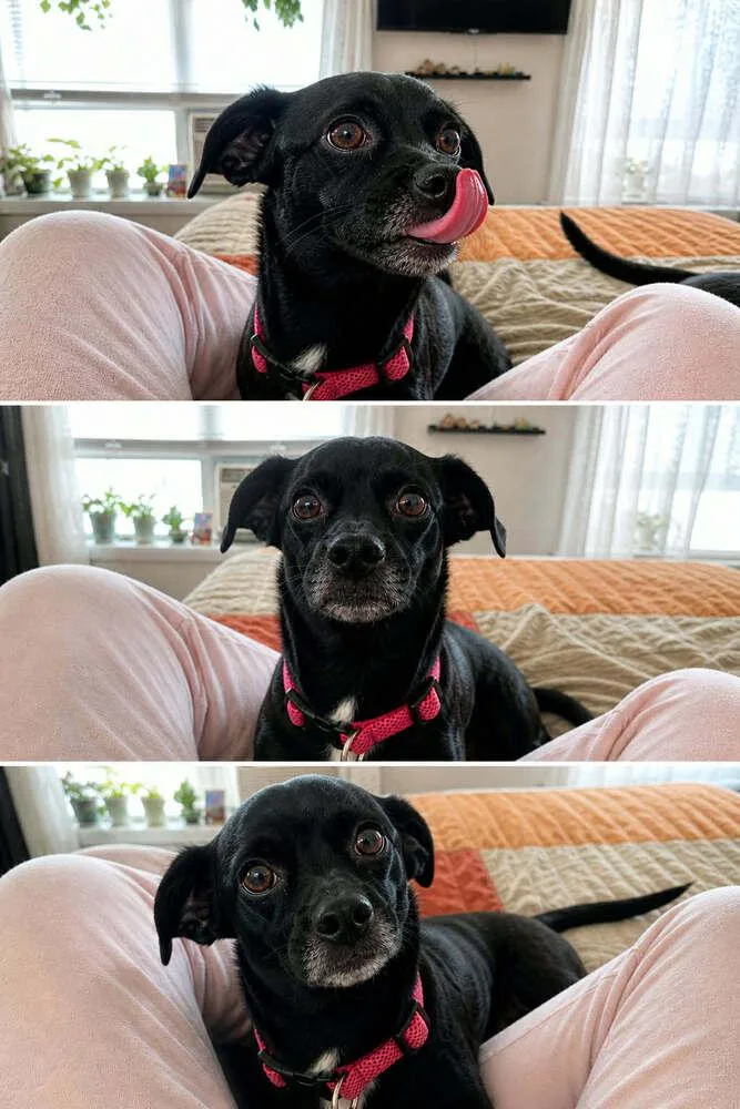 Chiquita thumbnail 2