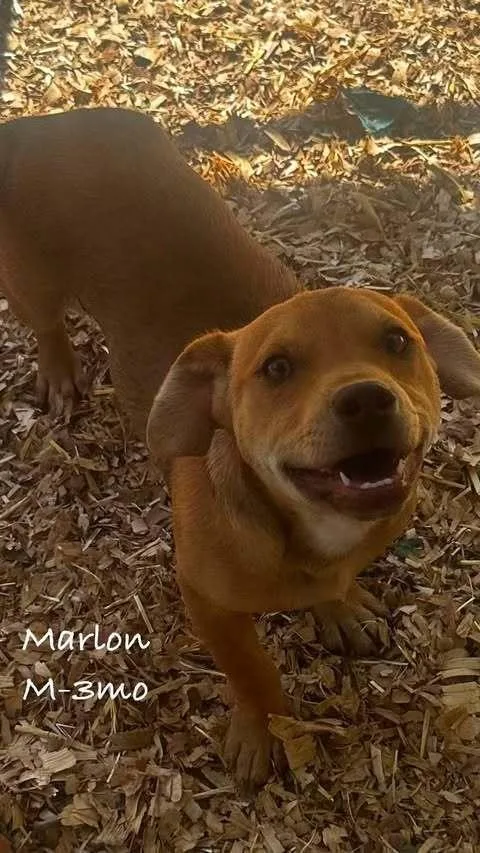 Marlon thumbnail 2