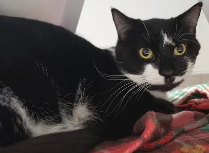 Gwendolyn thumbnail 2