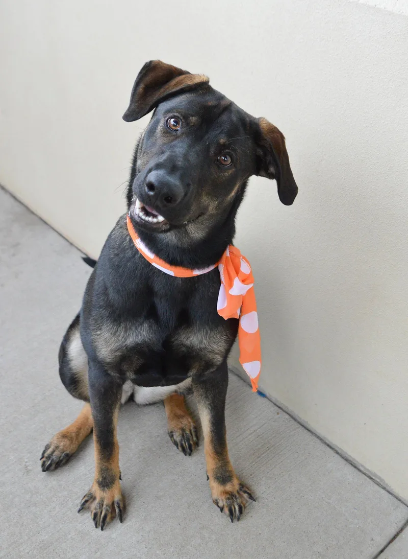 Punky Brewster thumbnail 2