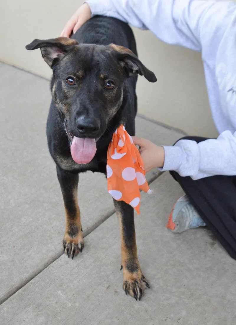 Punky Brewster thumbnail 3