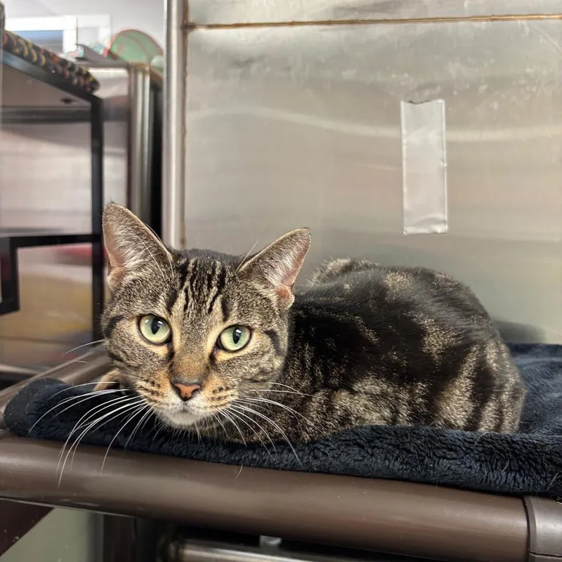 Crosspoint thumbnail 2