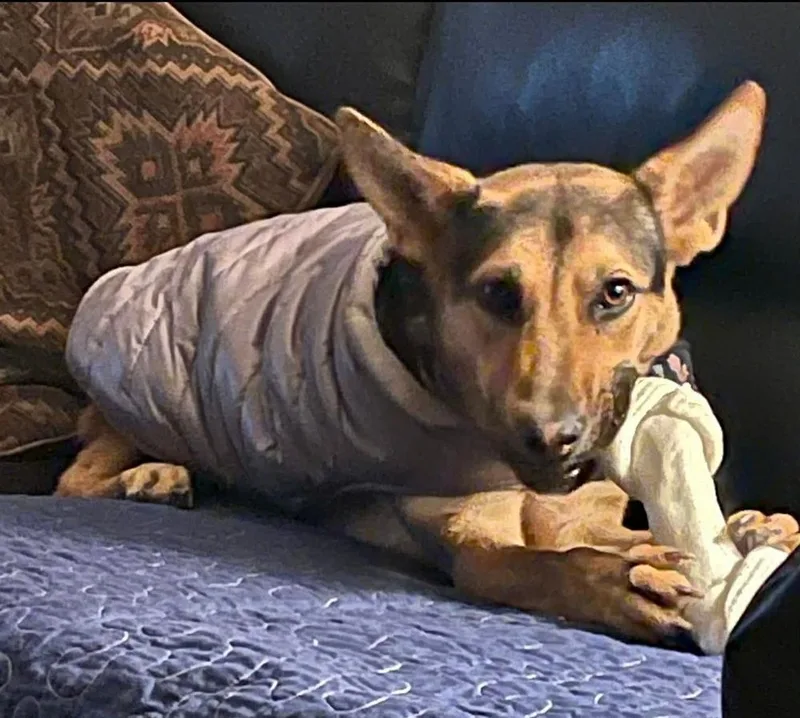 Sasha thumbnail 2