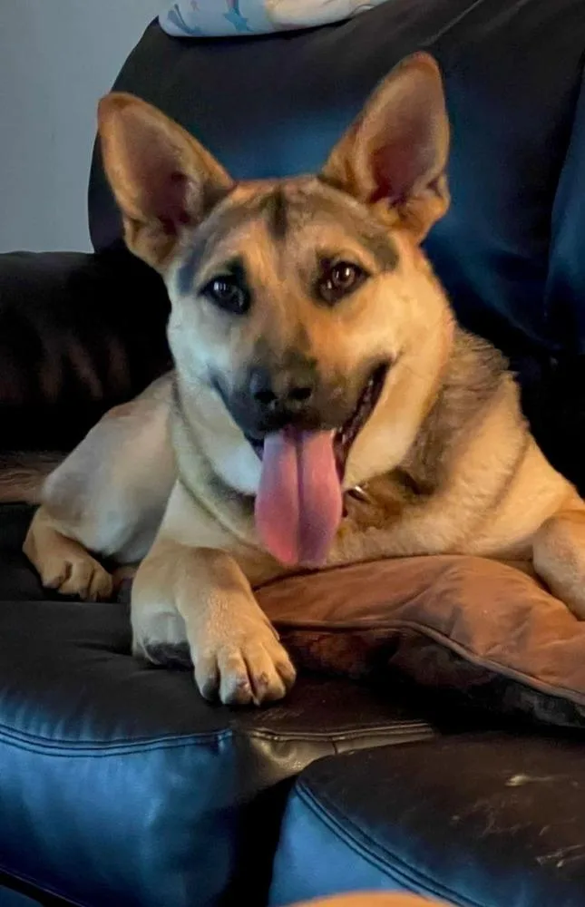 Sasha thumbnail 3
