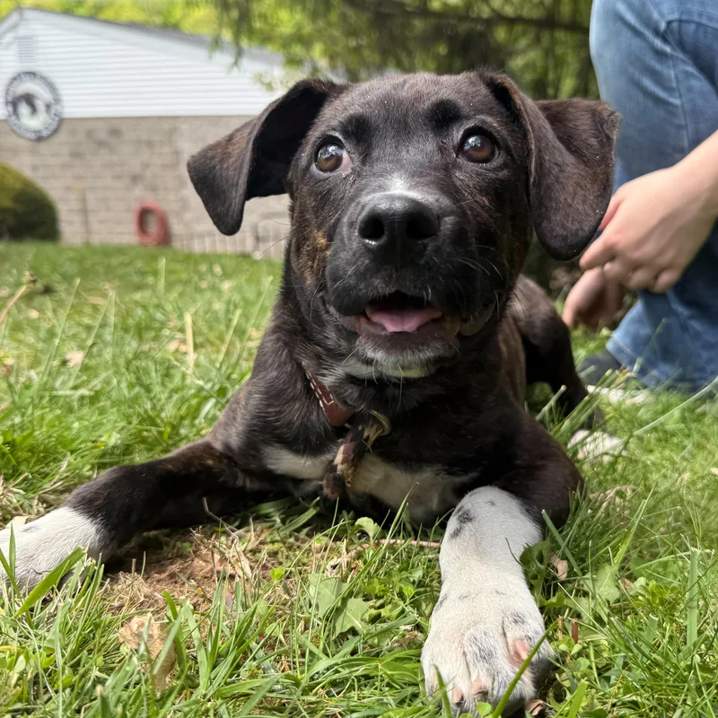 Coco