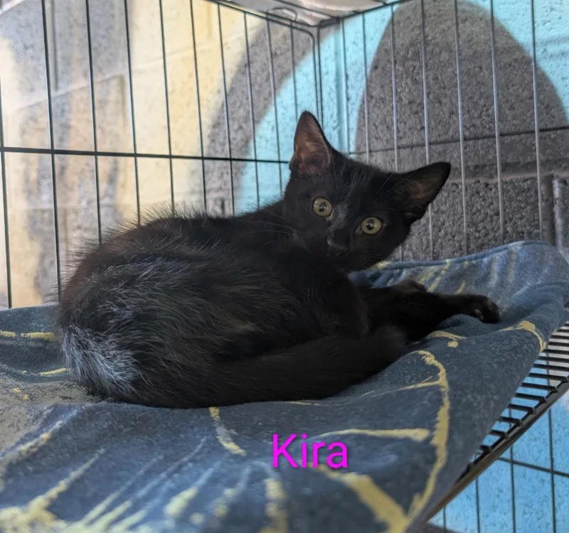 Kira
