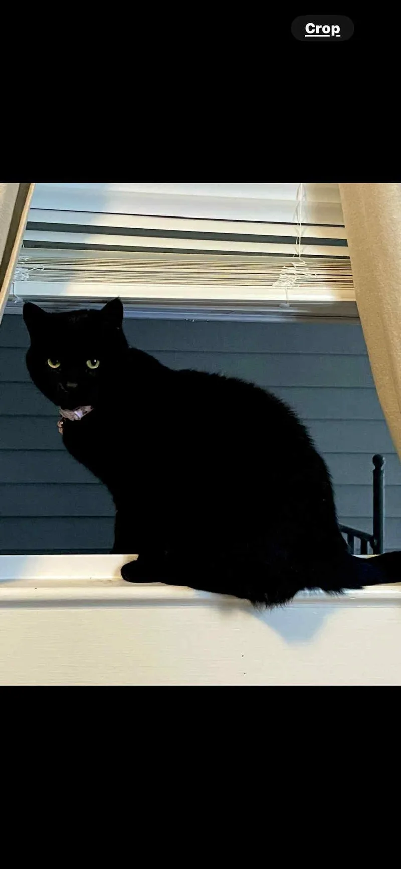 Bella Bean thumbnail 3