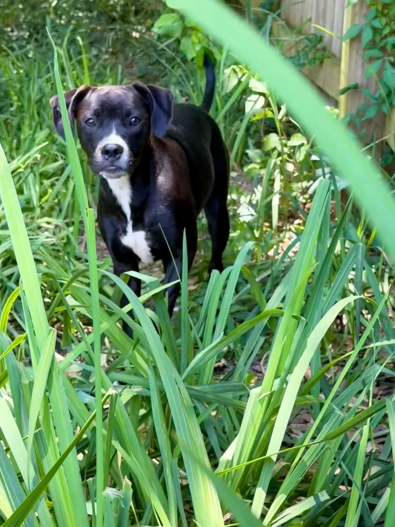 Edie thumbnail 5