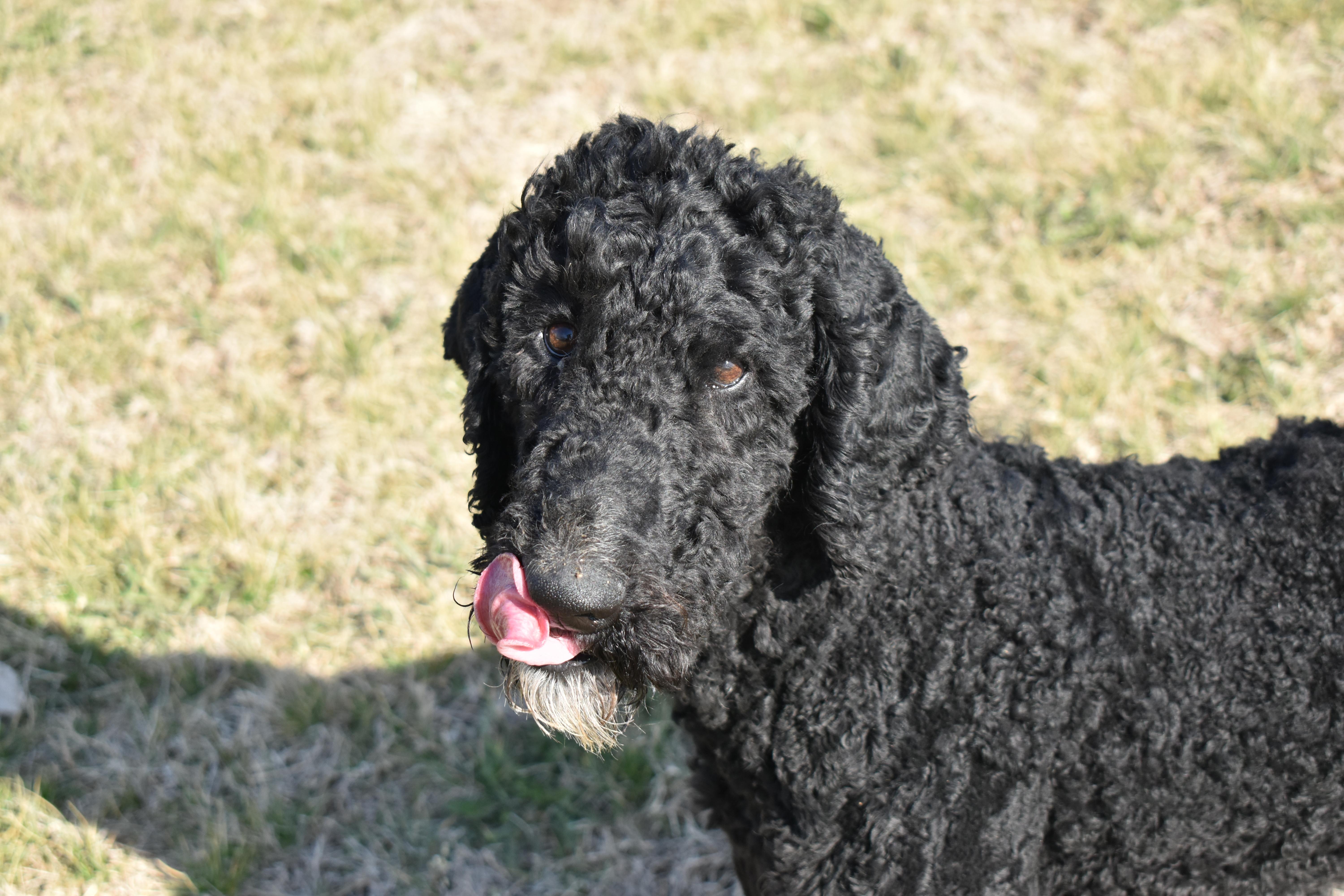 Bob Marley thumbnail 2