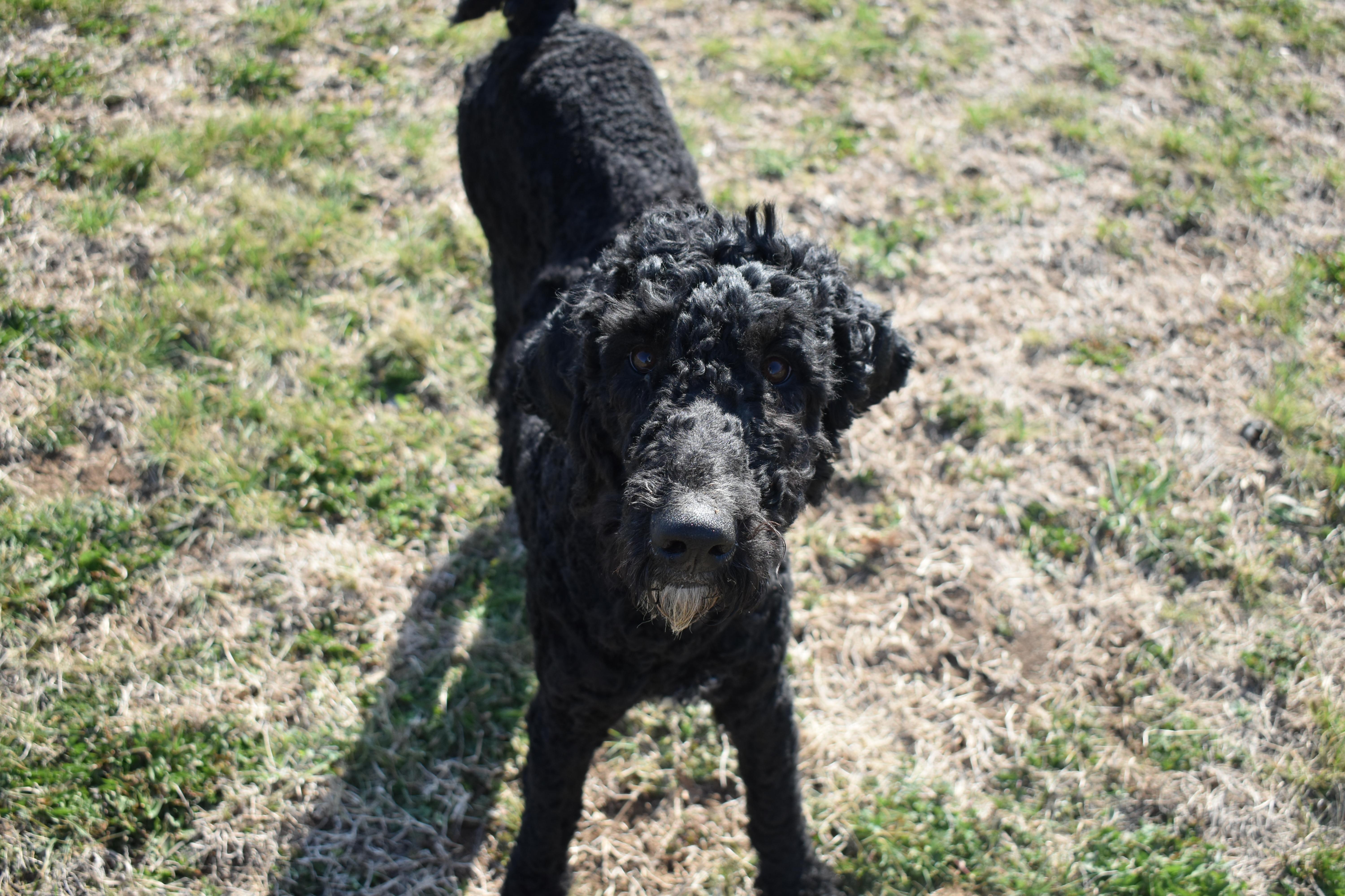 Bob Marley thumbnail 3