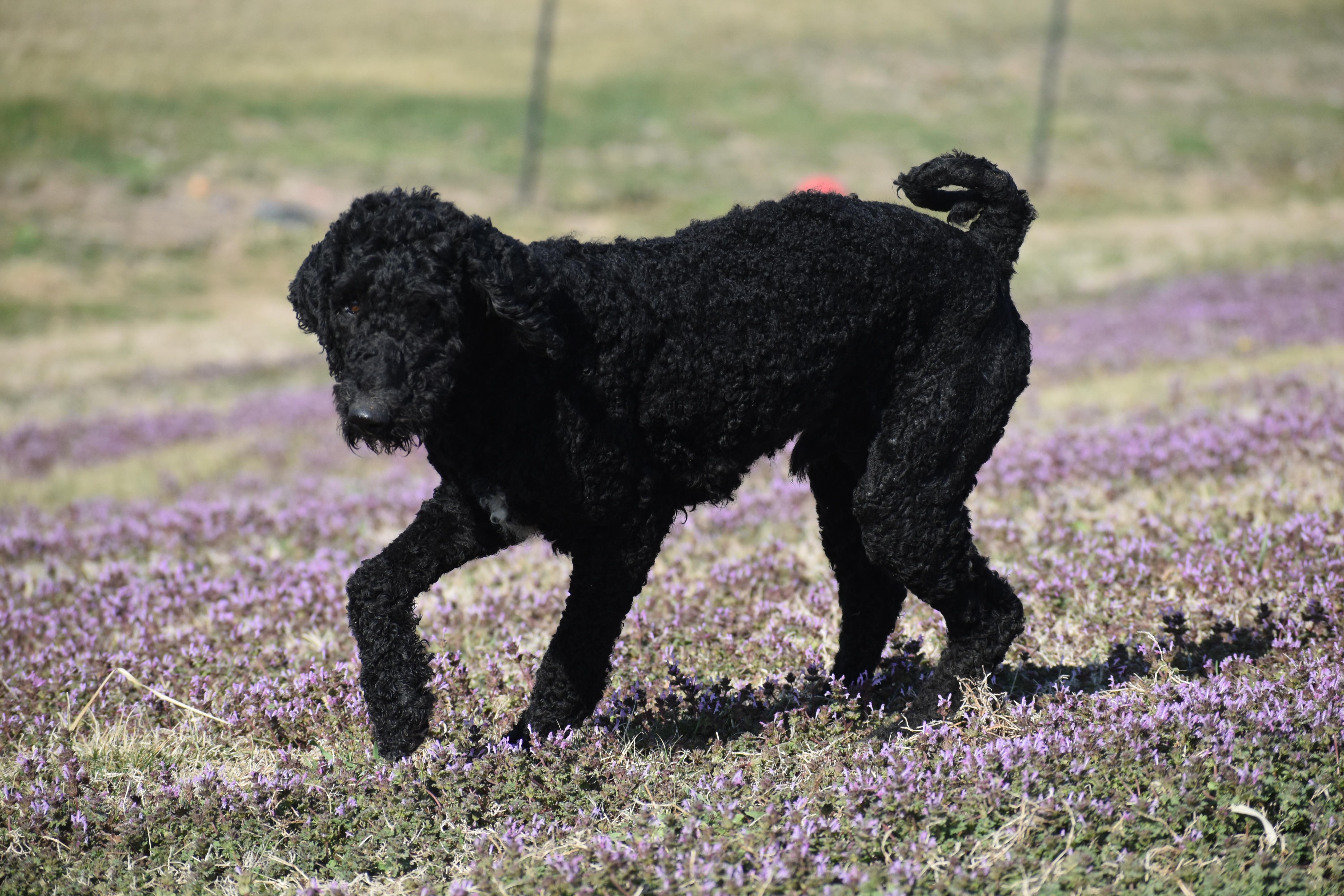 Bob Marley thumbnail 5