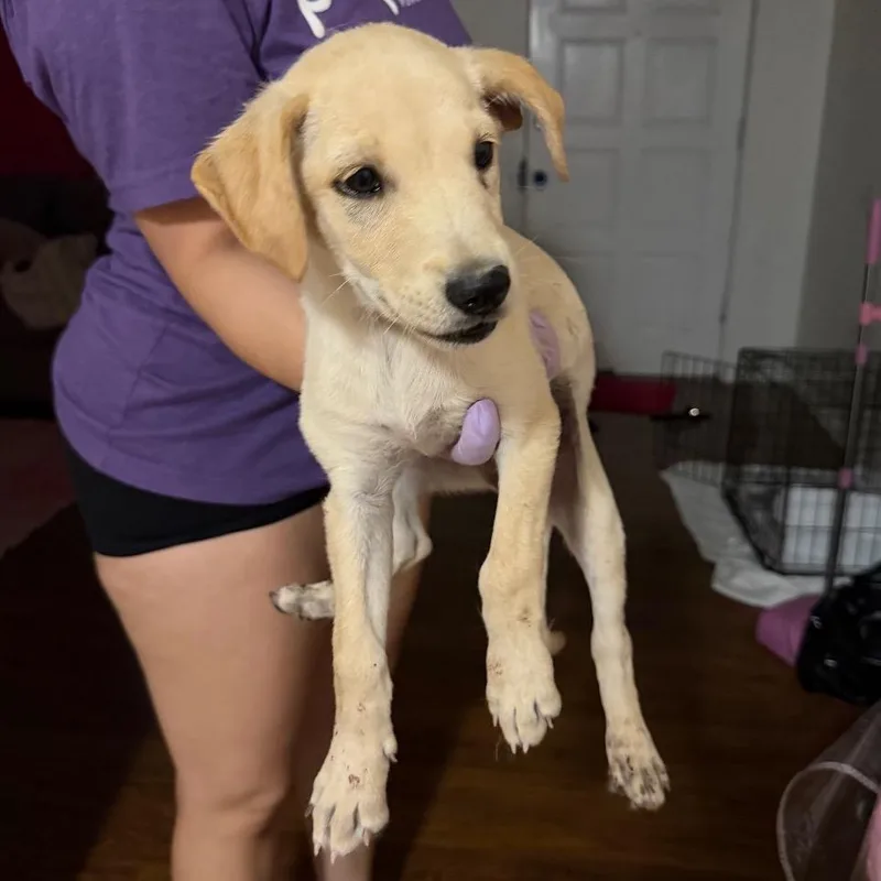Mia