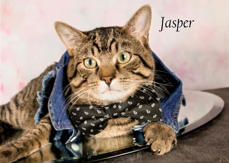 Jasper thumbnail 2
