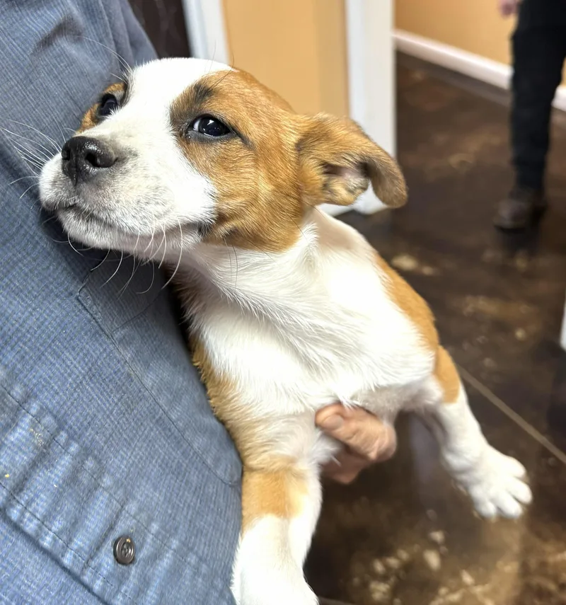 Bud Flora  Local thumbnail 2