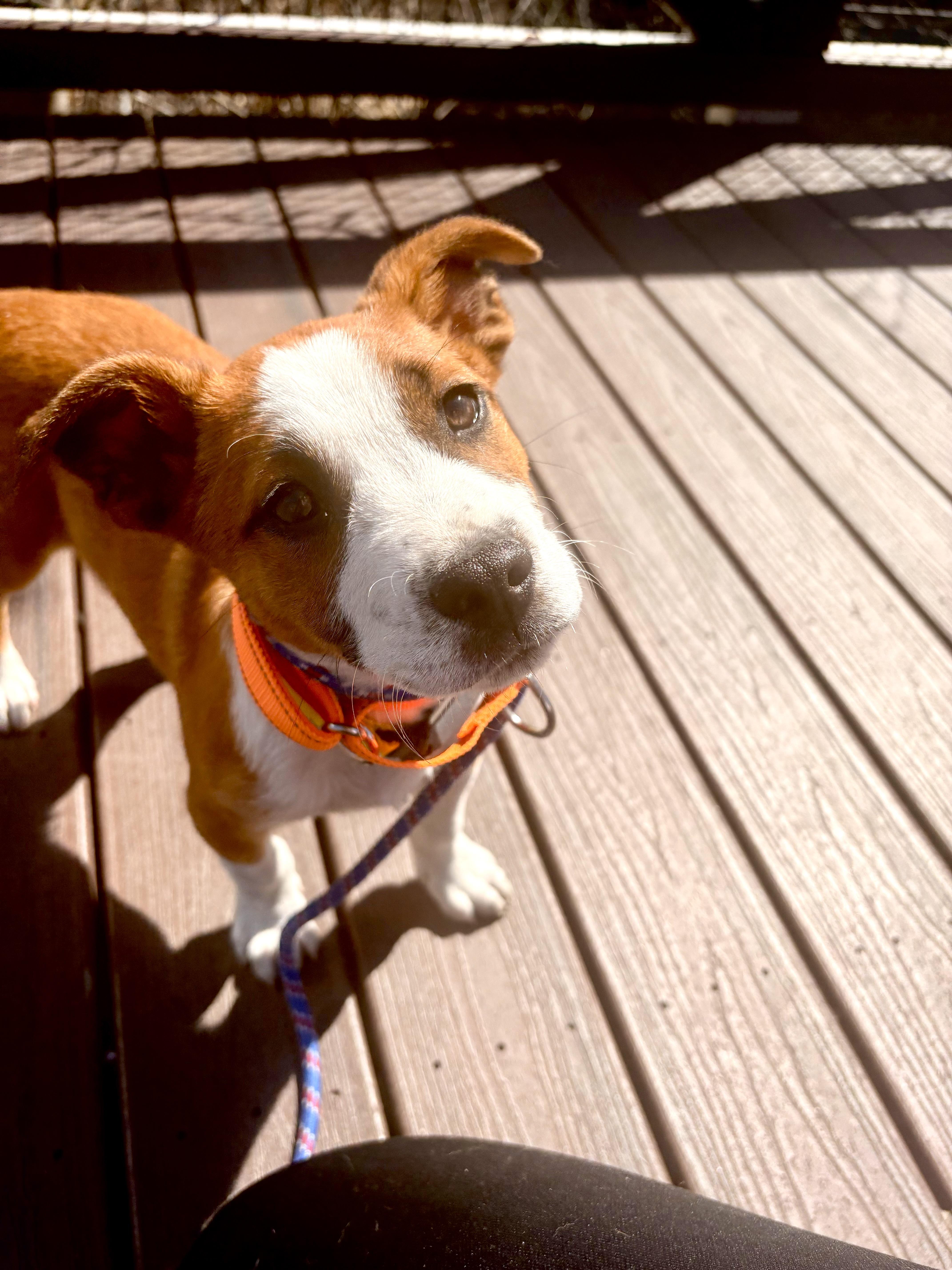 Bud Flora  Local thumbnail 3