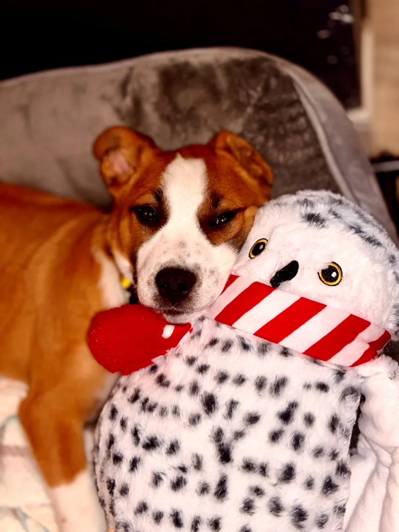 Bud Flora  Local thumbnail 4