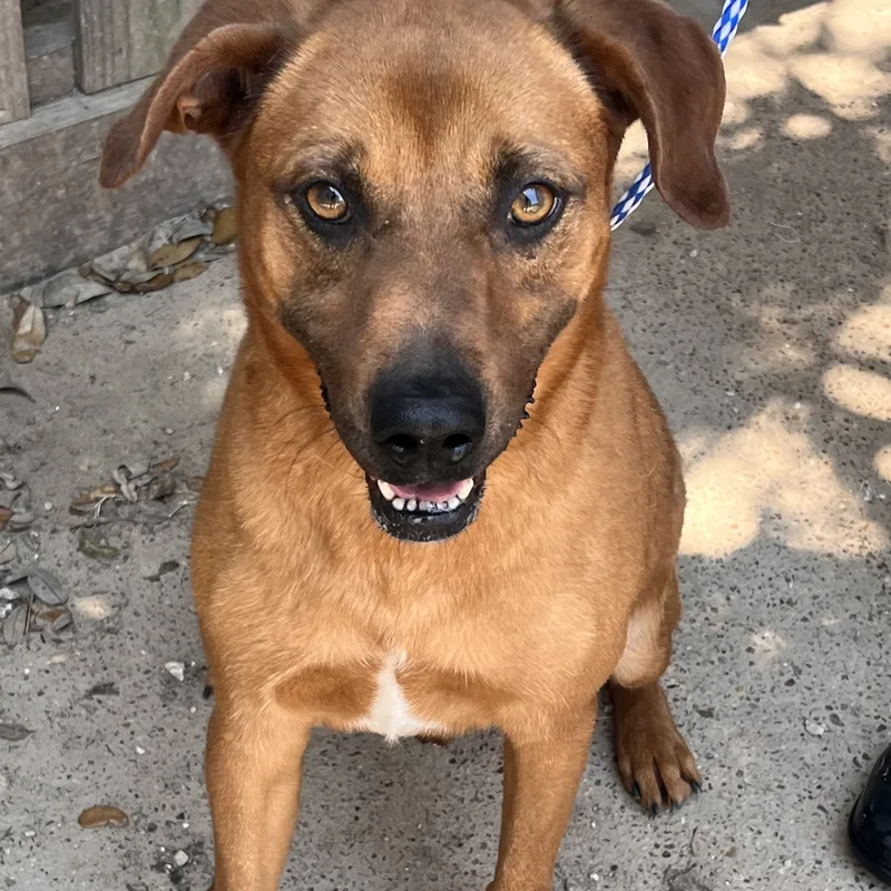 Hannigan thumbnail 2