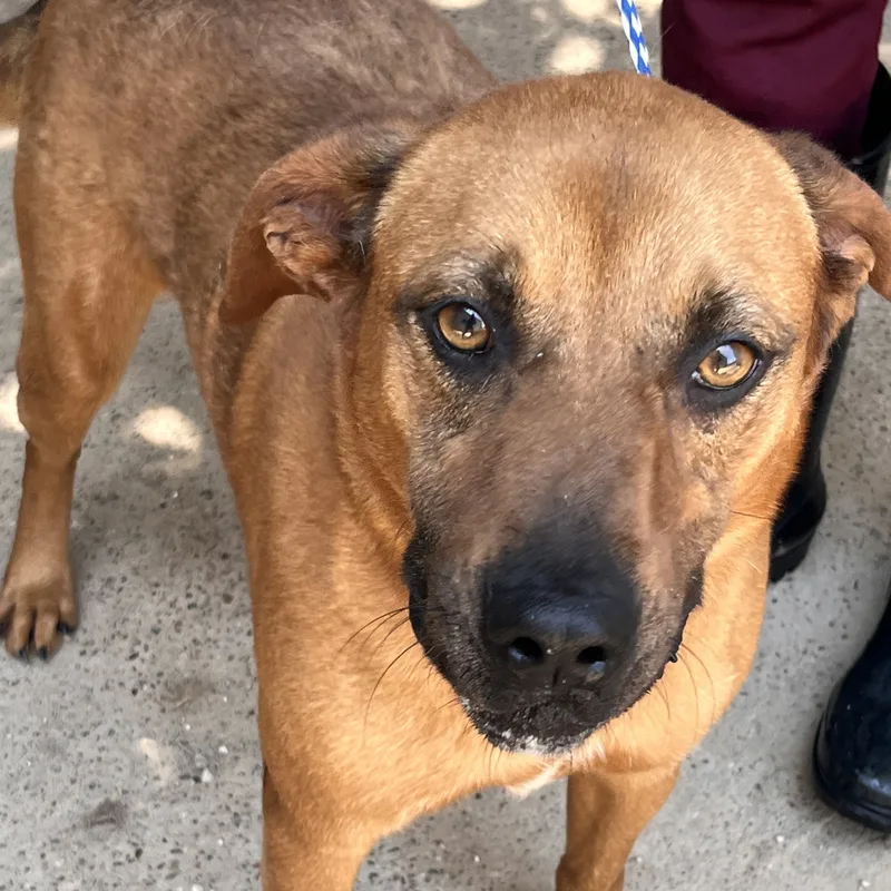 Hannigan thumbnail 3