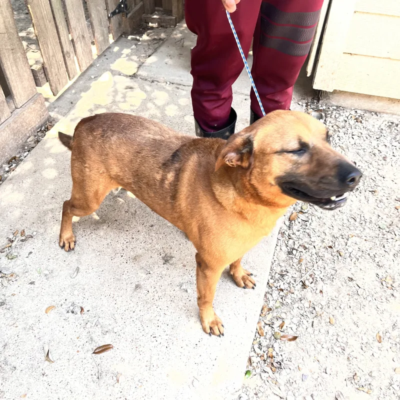 Hannigan thumbnail 4