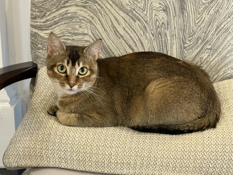 Maria & Mango thumbnail 2