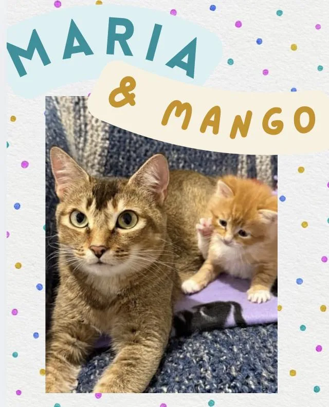 Maria & Mango