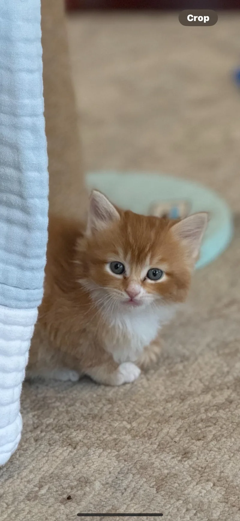 Maria & Mango thumbnail 4