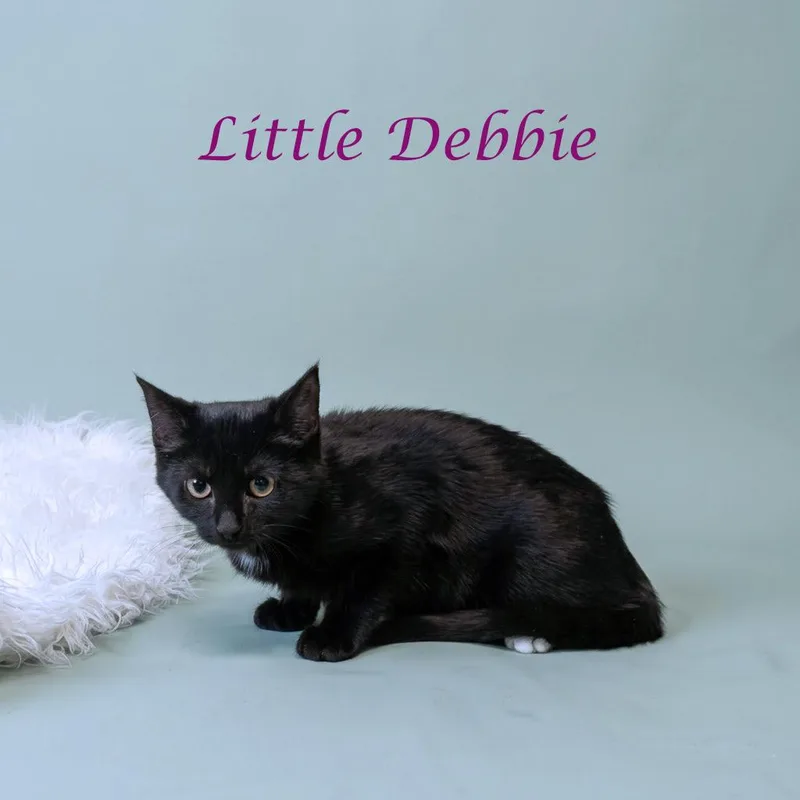 Little Debbie C thumbnail 3