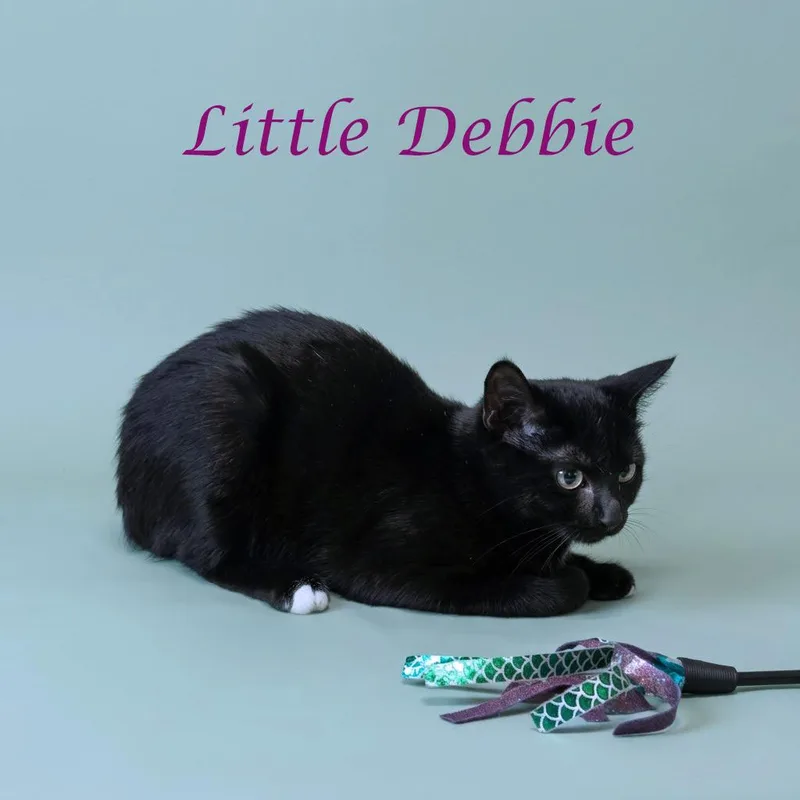 Little Debbie C thumbnail 5