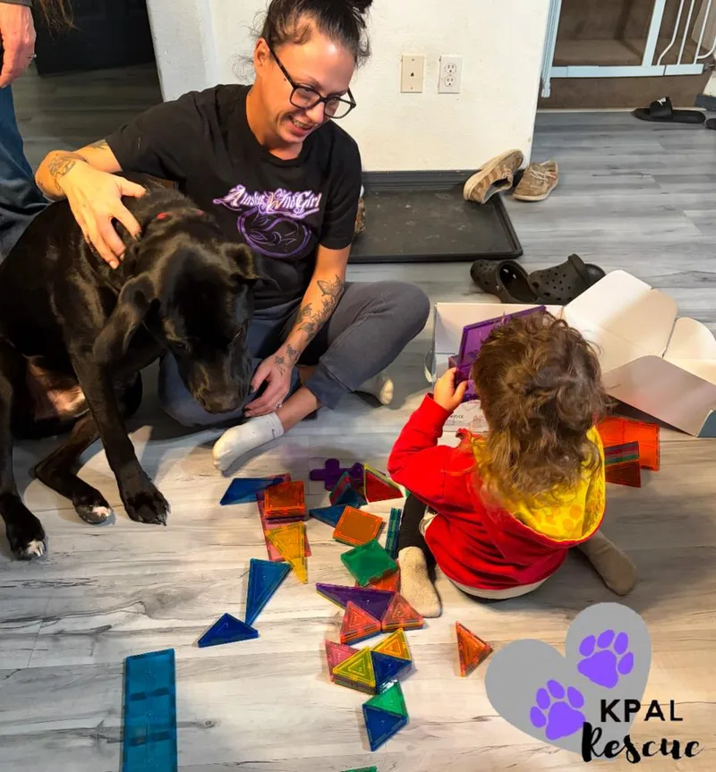 Jameson  Irish Drinks thumbnail 3