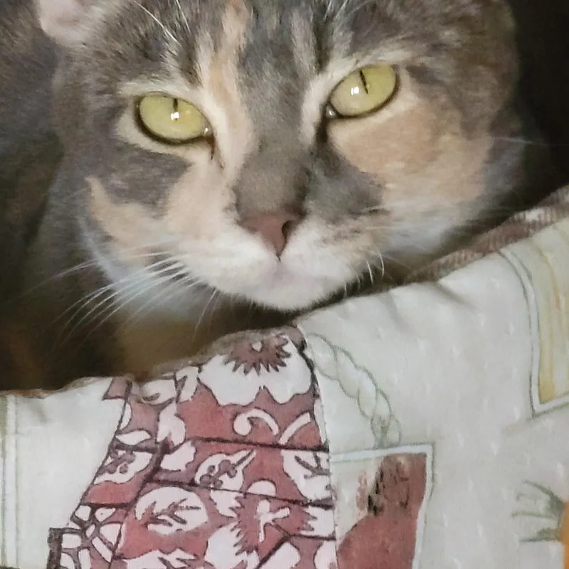 Katarina thumbnail 2