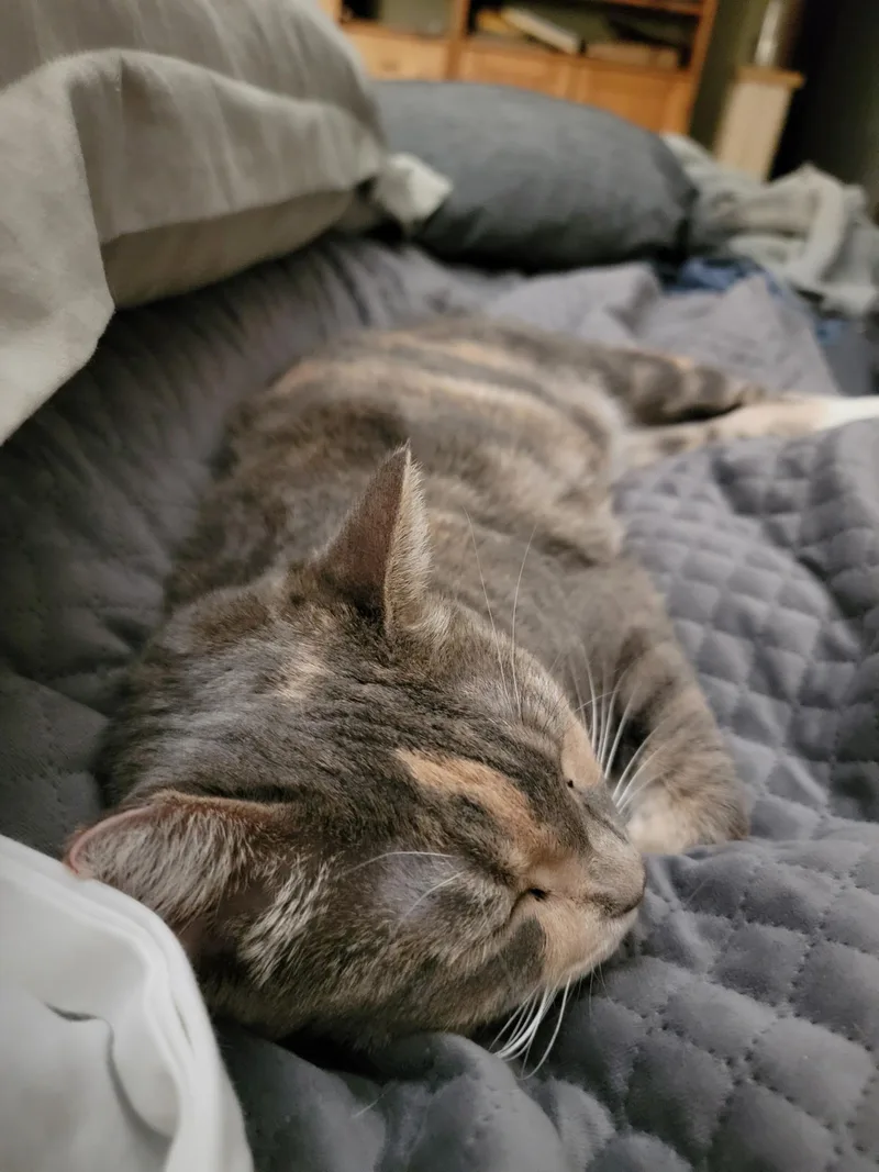 Katarina thumbnail 5