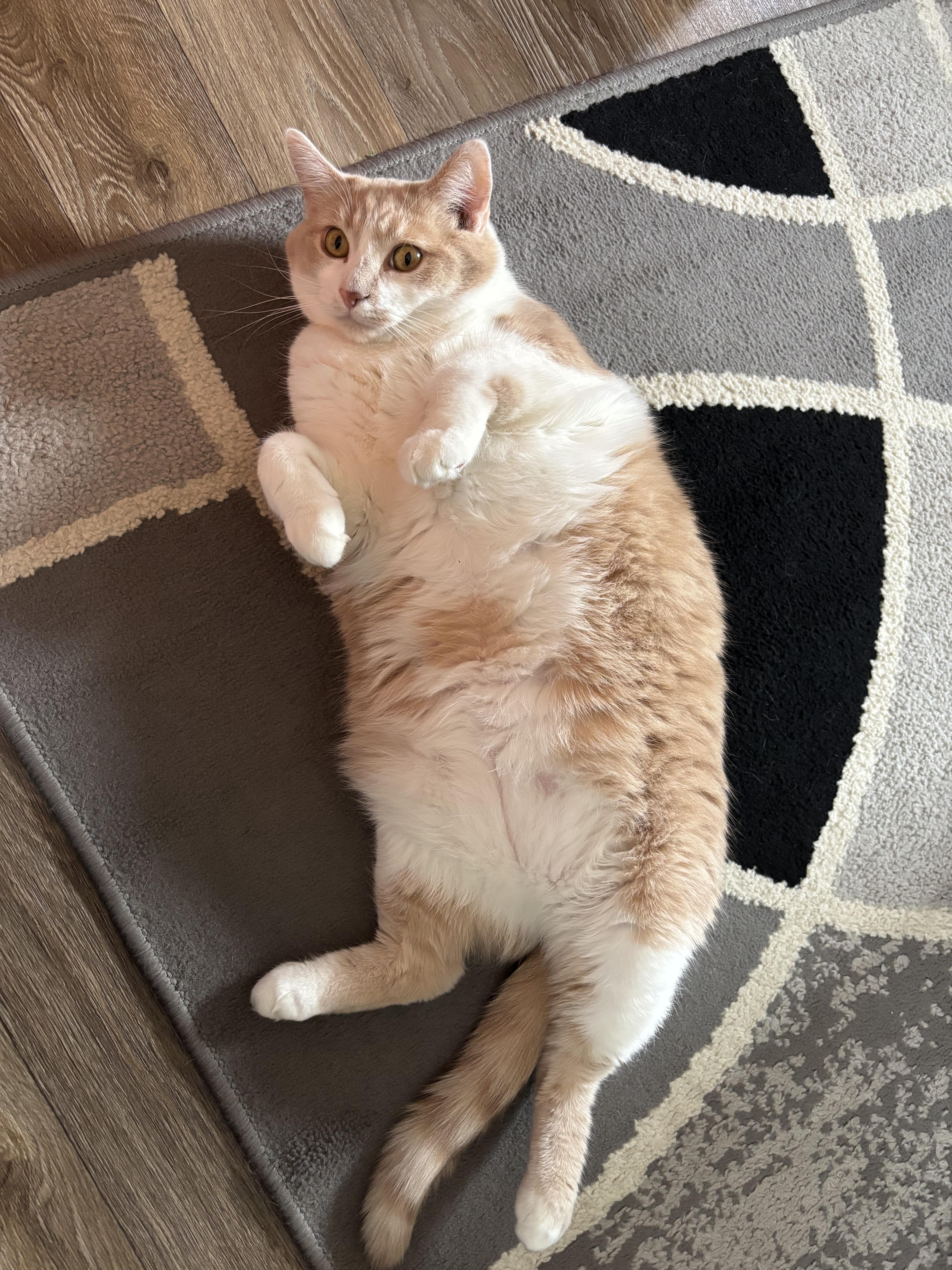 Chunky B thumbnail 3