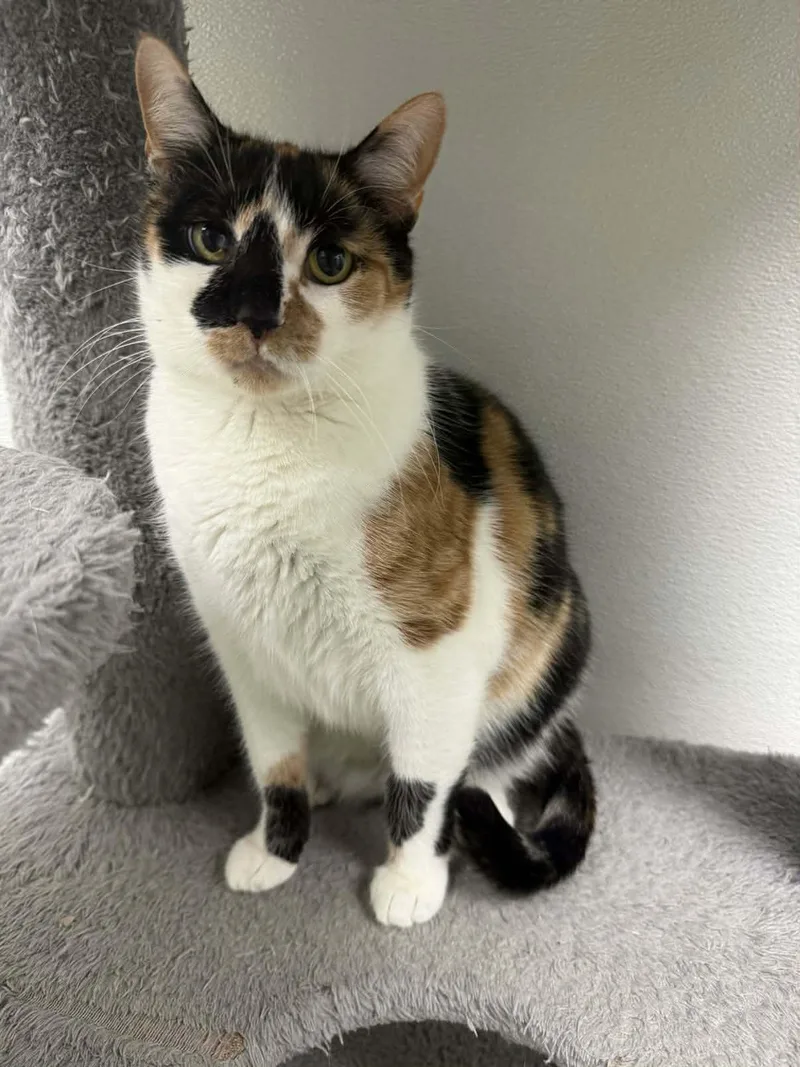 Jenny And Gigi thumbnail 2