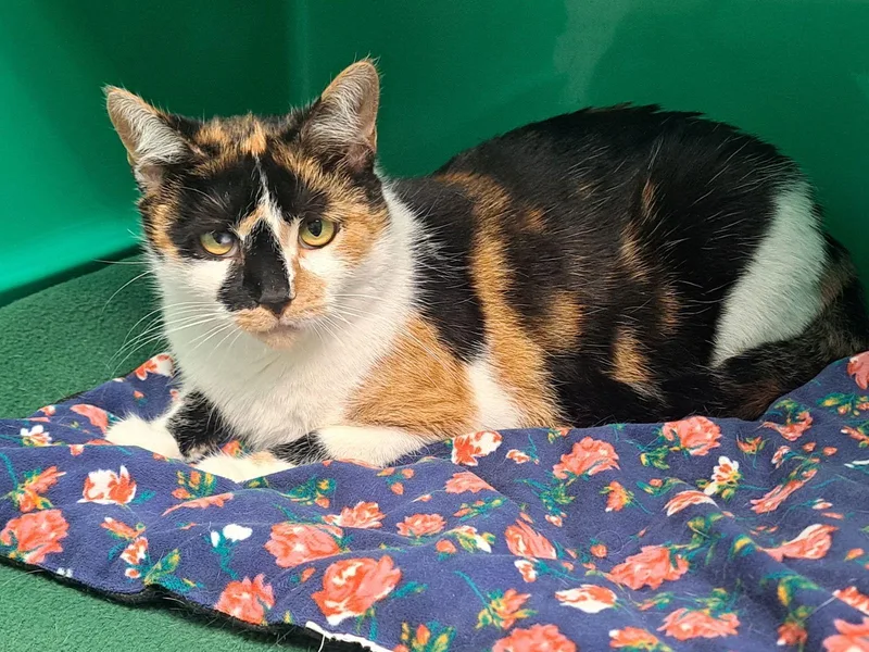 Jenny And Gigi thumbnail 3