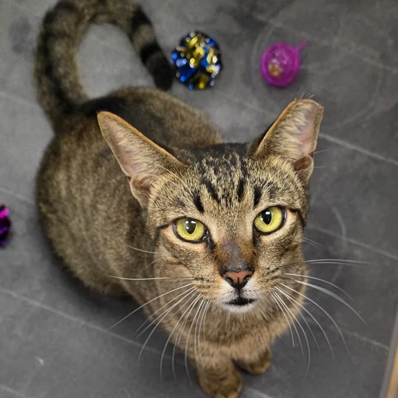 Big Ivan thumbnail 2