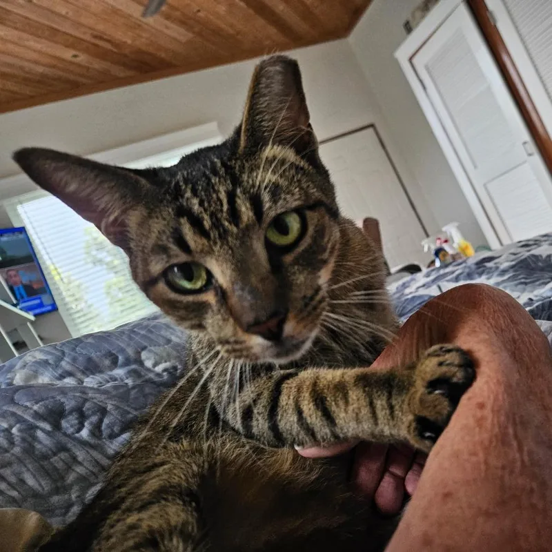 Big Ivan thumbnail 4