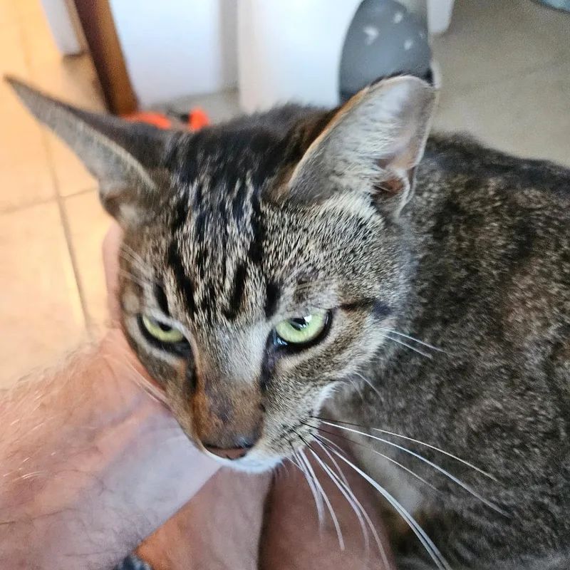 Big Ivan thumbnail 5