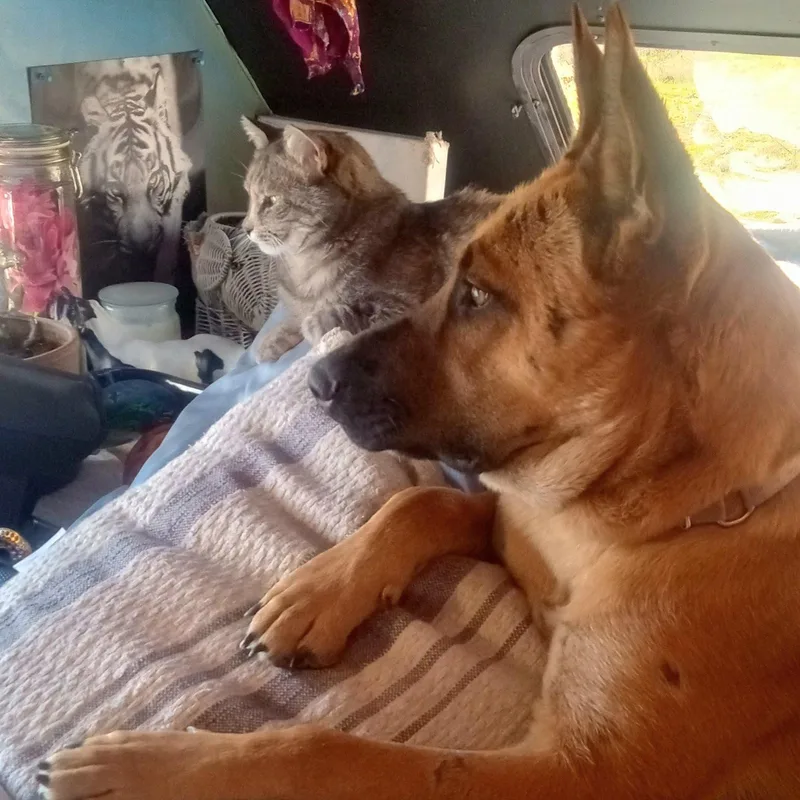 Neptune Urgent In California thumbnail 2