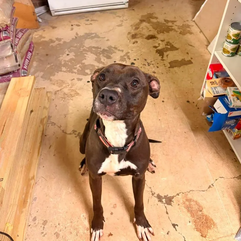 Lola