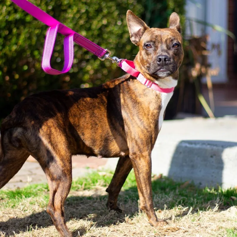 Mercedes thumbnail 2