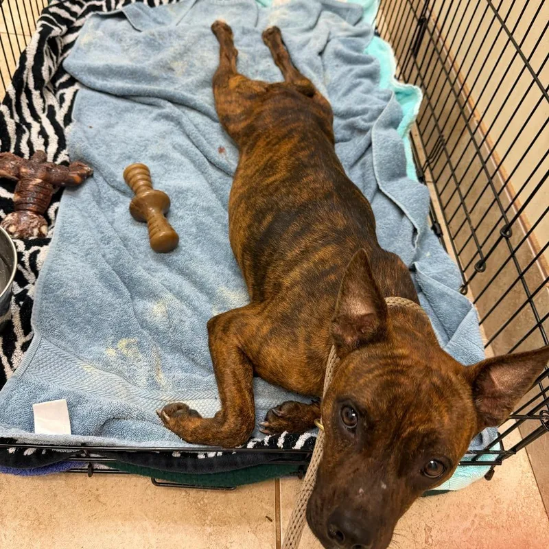 Mercedes thumbnail 3