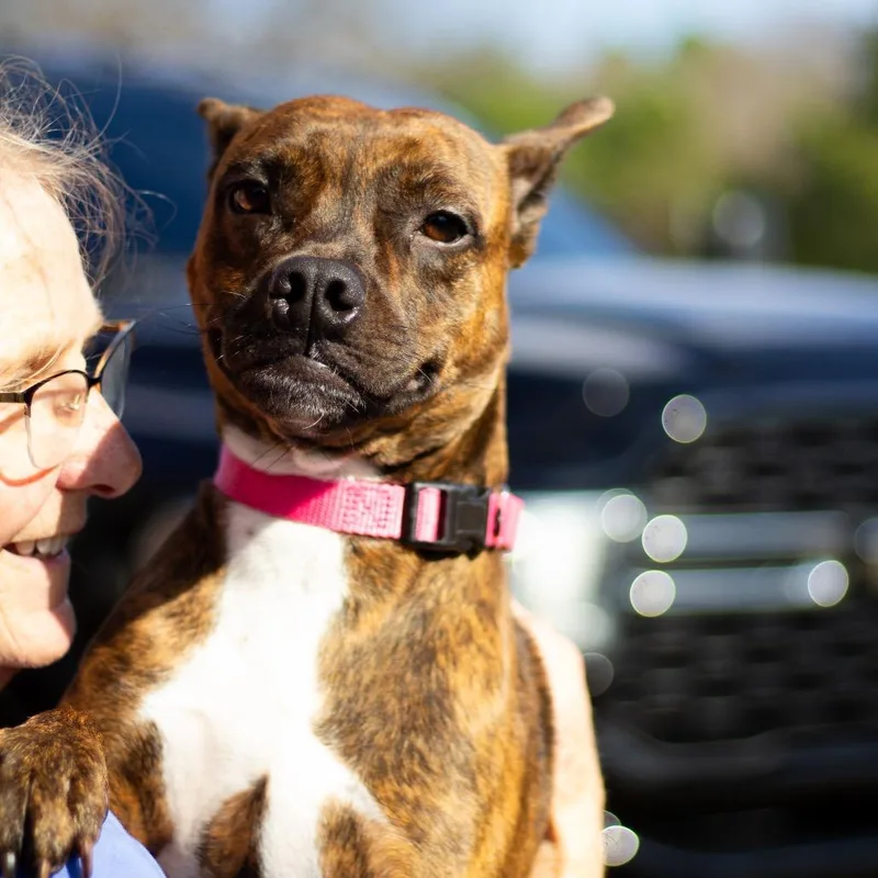 Mercedes thumbnail 4